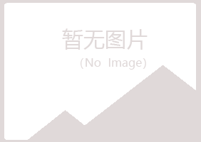 铁岭银州山柏化学有限公司